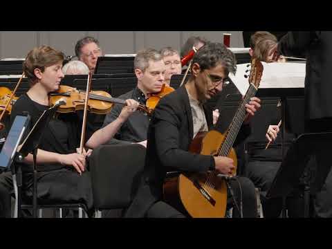 Vivaldi Guitar Concerto in D Major - Largo (Encore)