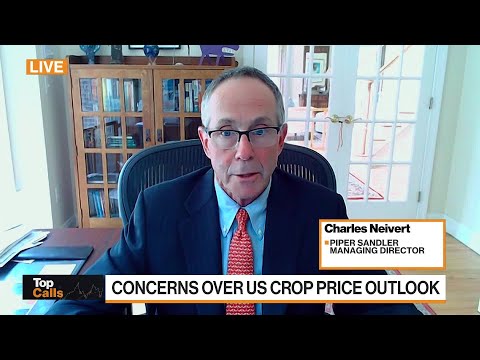 주요 통화: 미국 곡물 가격 전망에 대한 우려