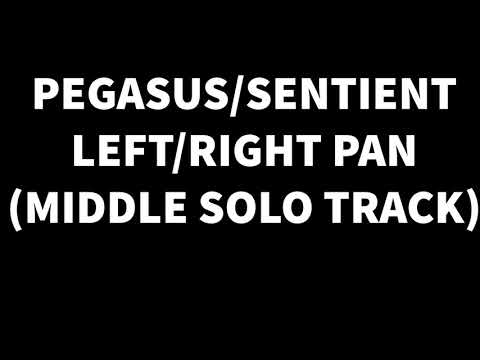 Seymour Duncan Black Winter VS. Pegasus/Sentient