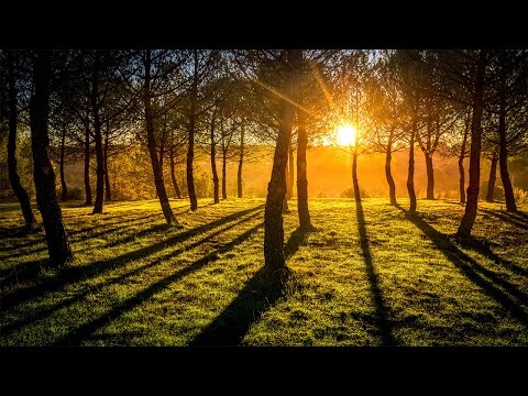 NO LIMITS – Beyond Photography