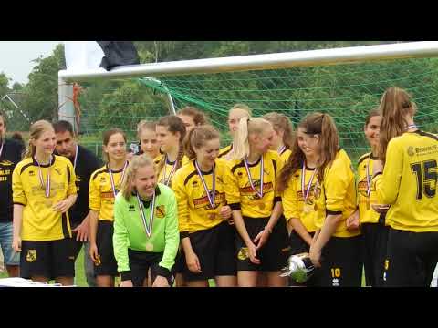 VIOS V. MO17-2 bekerwinnaar