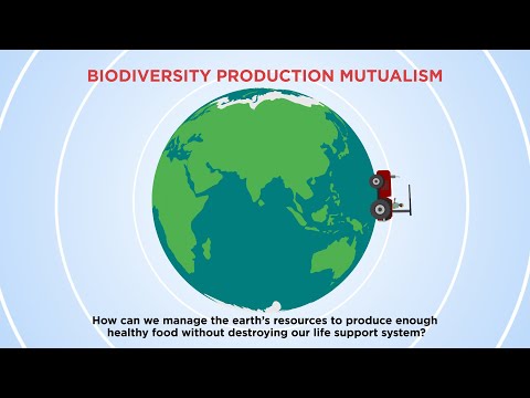 How to decipher the biodiversity–production mutualism in the global food security debate?