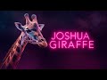 Joshua Giraffe