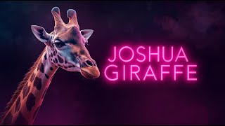 Joshua Giraffe