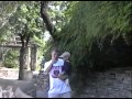 Zoo 1999