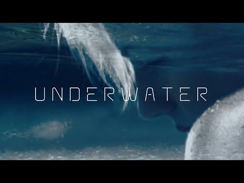 Whitney Tai - Underwater (Official Audio)