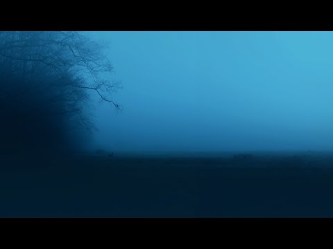 Antent & my head is empty - days go by | Slowed + Reverb