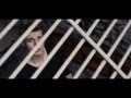 COVER by WeeklyChris CHAINS Nick Jonas by ...