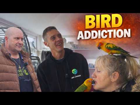 This Is What a Bird Addiction Looks Like