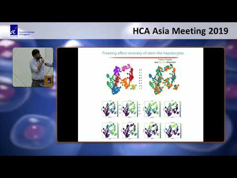 HCA Meeting Asia 2019: Single Cell Atlas of Human Hepatocellular Carcinoma