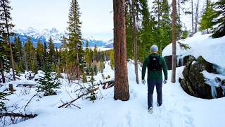 Hiking the Rocky Mountain National Park | Lone Pine Lake to Grand Lake | East Inlet Trail Inbound