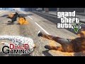 GTA V DDG VS ALLA ANDRA