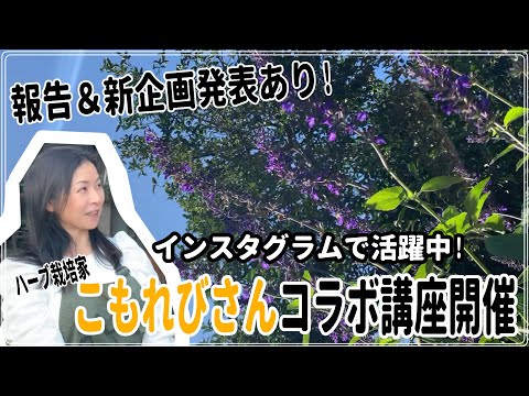 医療ビジネス薬科学科 【報告と新企画】ハーブ栽培家こもれびさんの栽培講座を開催！