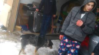 You gotta run on it fool