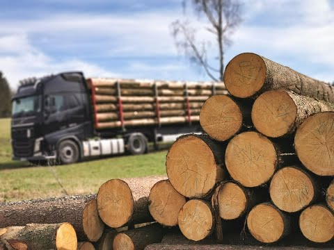 Usługi tartaczne Tartak Piekarczyk Kasinka Mała Adam Piekarczyk Józef Piekarczyk