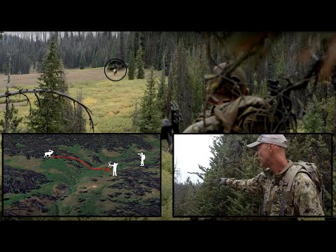 Elk Calling: Be the "Quarterback - In the Zone (Episode 4)