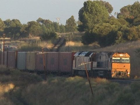Adelaide to Melbourne Freight Train at Lovely Banks (Geelong) - PoathTV Railways in Australia