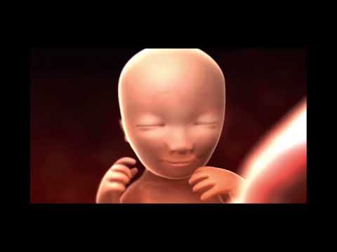 ¡El bebé está llegando!