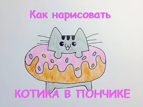 КОТИК В ПОНЧИКЕ