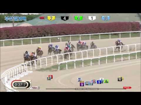 Busan Ilbo Cup 2017 - Success Story (English)