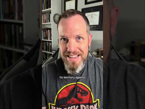 Does Merneptah mention the “Kingdom of Israel”?