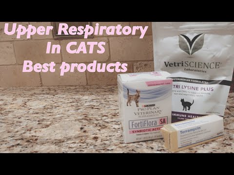 Upper respiratory in cats , How to treat upper respiratory at home Best treatments