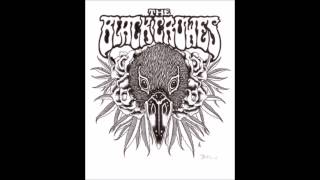 Black Crowes - Meet Me In The Morning 12/12/10 Fillmore SF, CA