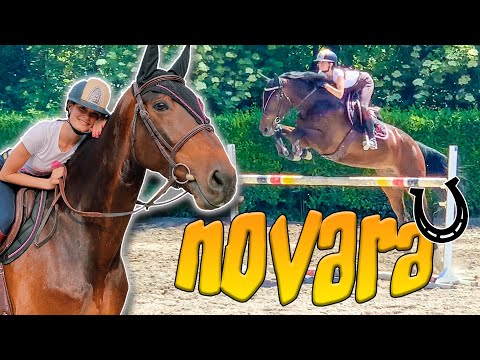 My new mare! Novara ❤