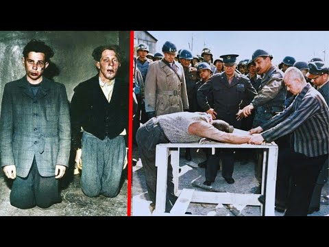 Das taten die Gefangenen den Nazi-Wachen nach der Befreiung der Lager an!