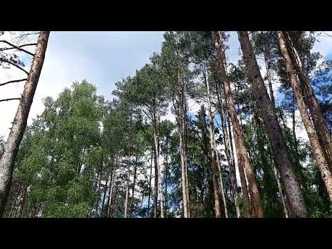 snídaně u chaty První Dvě v lese :-)