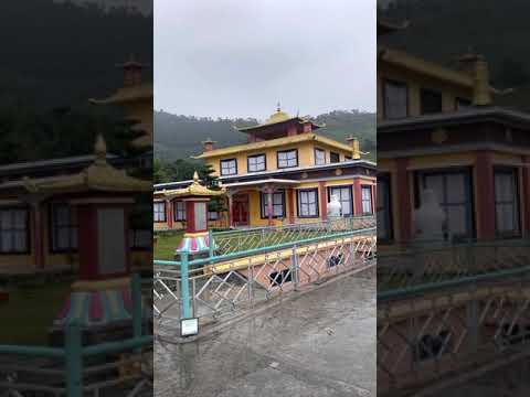 Vineeta kumbhat at palampur