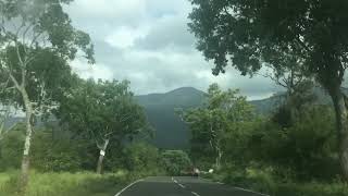 preview picture of video 'Masinagudi forest        Kalu'