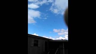 Great butterfly migration southwest Texas