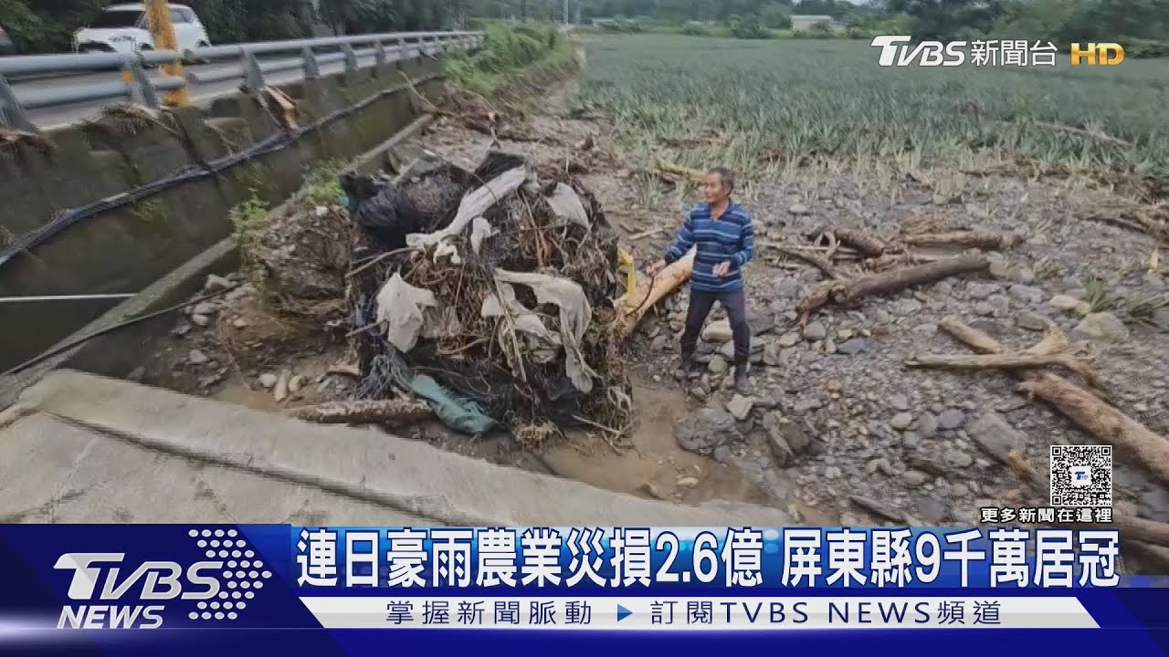 農損飆破2.6億!屏東高樹鄉慘淪重災區 鳳梨根部腐爛損失達三成