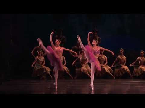 LA BAYADÈRE - Pas d’ Action (Royal Ballet)