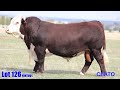 Lot 126 Ceato Ron FJMT001 (AI)(H) (WODONGA)