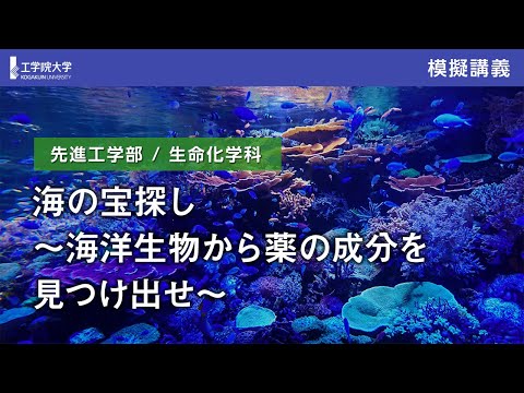 応用化学科 【模擬講義】海の宝探し～海洋生物から薬の成分を見つけ出せ～／工学院大学