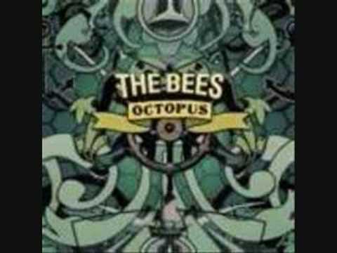 The Bees - Got To Let Go