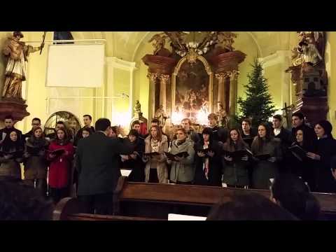 ZMVB-Rosite nebesa odozgor