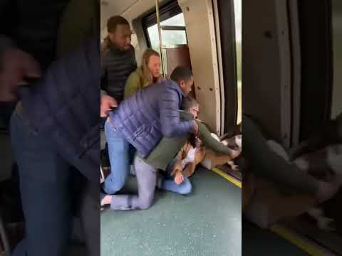 Eagle Attack on Moving Train Stuns Passengers