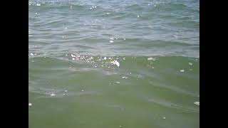 Peter Gabriel - That Voice Again