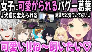 【複数視点】ありえないほど女子に可愛がられる葛葉パグーと叶猫【切り抜き/GTA/NEWTOWN/りつきん/ことのは/れんくん】