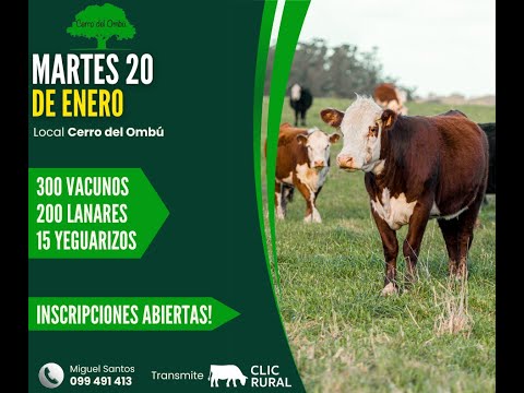 20/01/2026  Feria Mensual - Cerro del Ombu / Local Cerro del Ombú - Tacuarembó