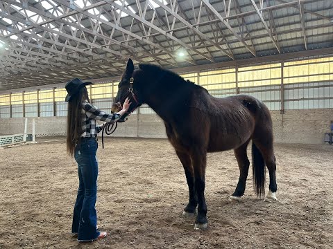 SAMY Y SANDRA DALE DONDE MAS LE DUELA ,LETRA