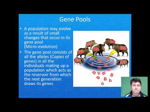 Biodiversity and Evolution 2013