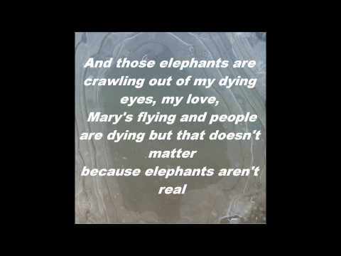 Elephants on Acid - The Dogwoods  [LYRICS]