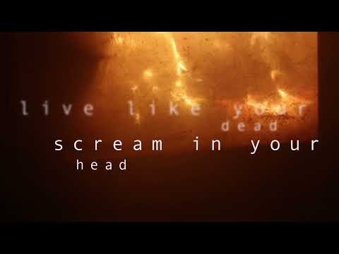 Shine Your Light feat. Naja P, Maazes