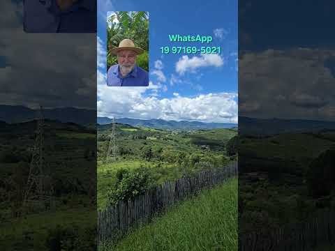 Propriedade Rural à Venda 24.200m2 em Andradas MG Com Cultivo de Bananas e Casa 2 Dormitórios.