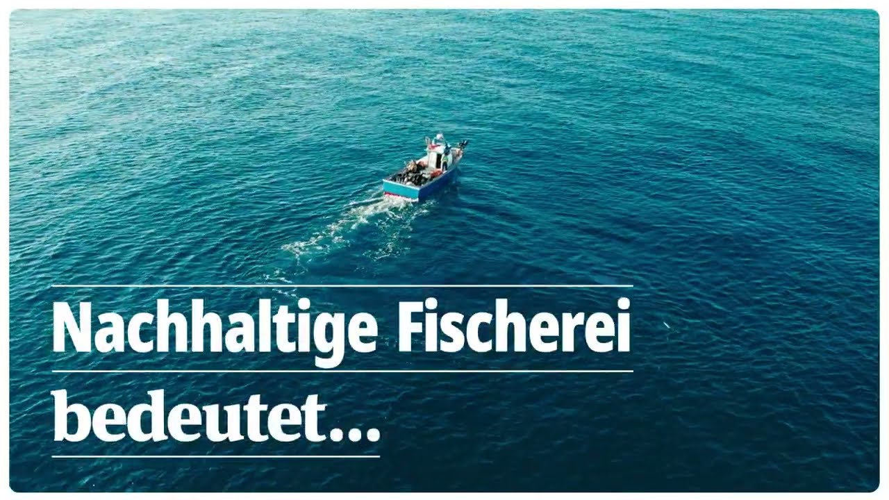 Nachhaltige Fischerei bedeutet mehr Fisch im Meer 🐟