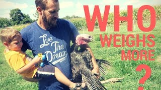 Who's Bigger? A Turkey or Our 2 Year Old?